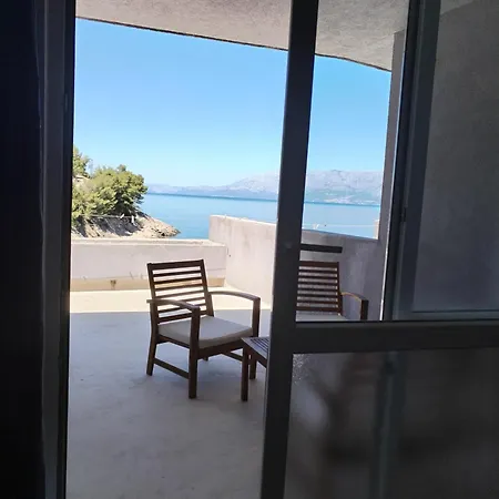 Pansion Vide Maison d'hôtes